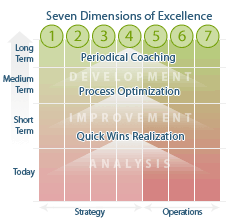 Our Approach to Growth Enablement—Analysis, Improvement & Development in 7 dimensions of excellence.